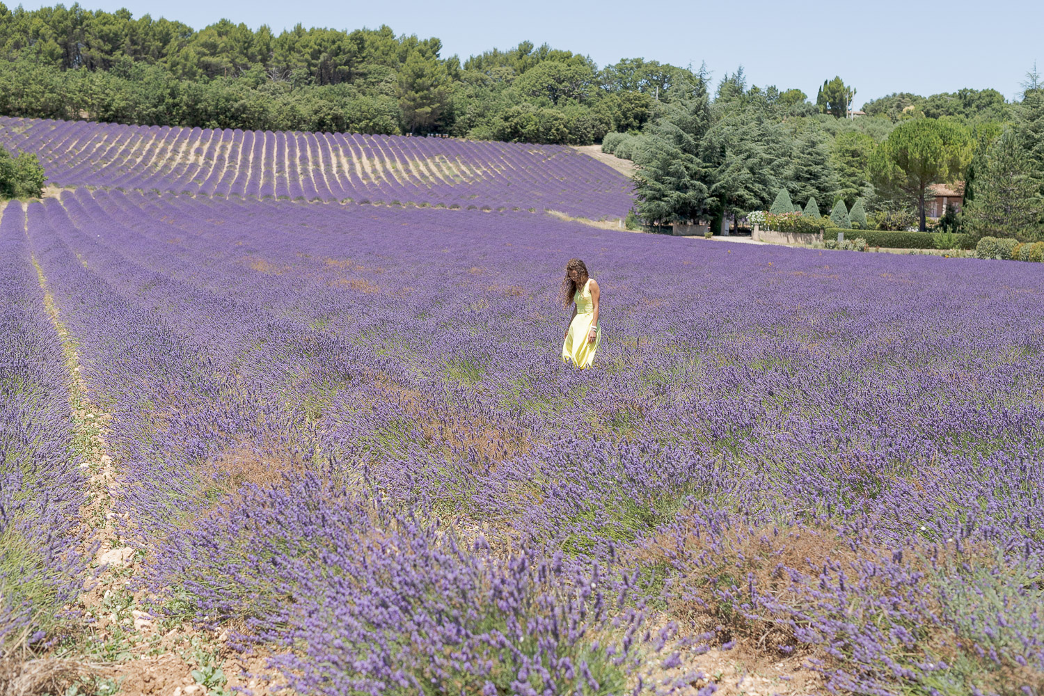 Photographe Provence
